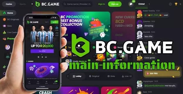 Understanding BC.Game Verification A Comprehensive Guide